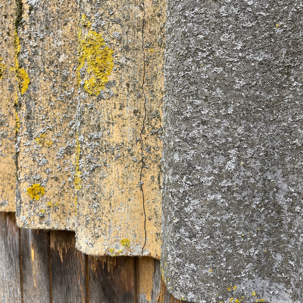 Er der asbest i mit tag? Få vished, før du går i gang